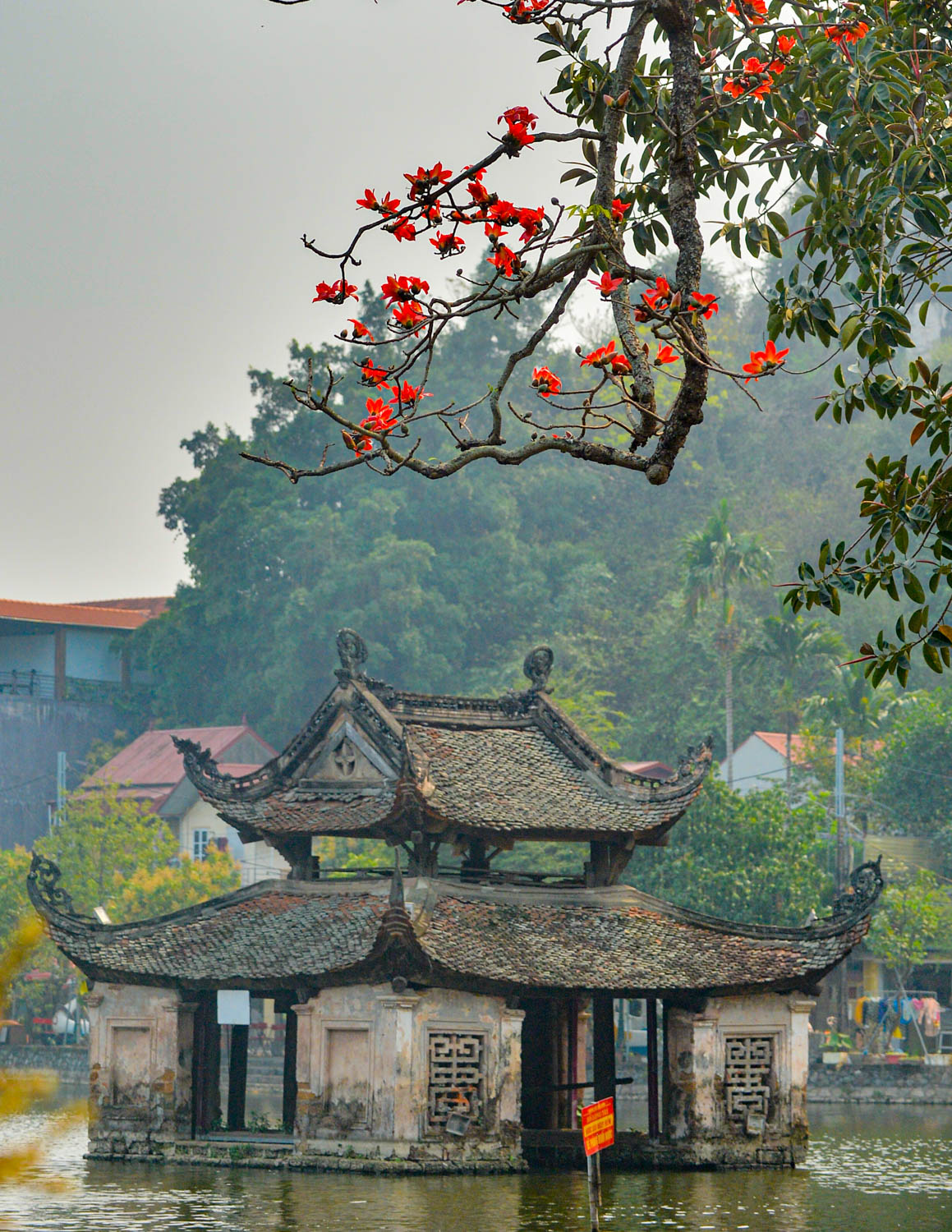 Ngắm hoa gạo nở đỏ rực bên trong ngôi chùa nghìn năm tuổi ở Hà Nội  - Ảnh 7.
