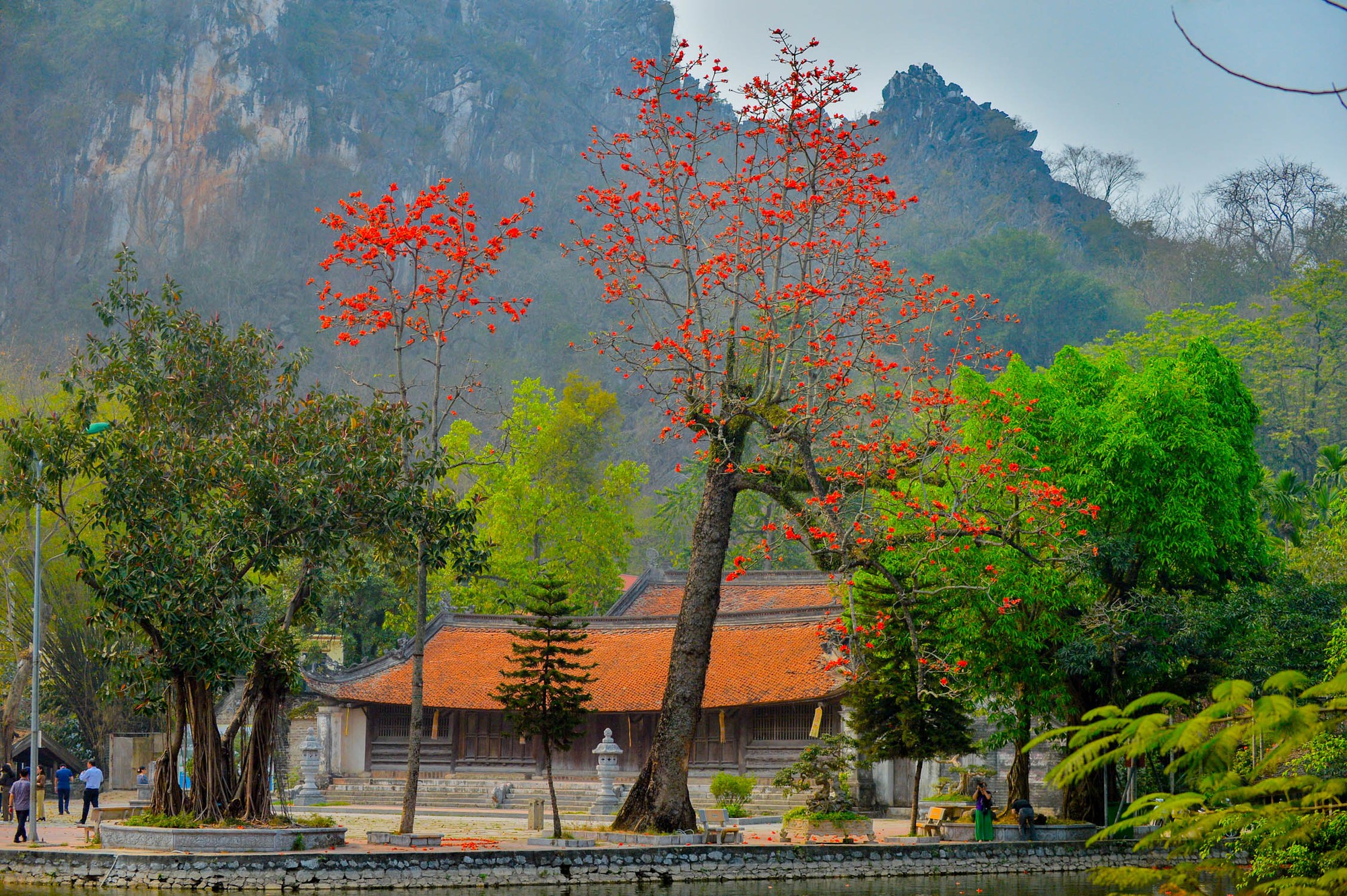 Ngắm hoa gạo nở đỏ rực bên trong ngôi chùa nghìn năm tuổi ở Hà Nội  - Ảnh 5.