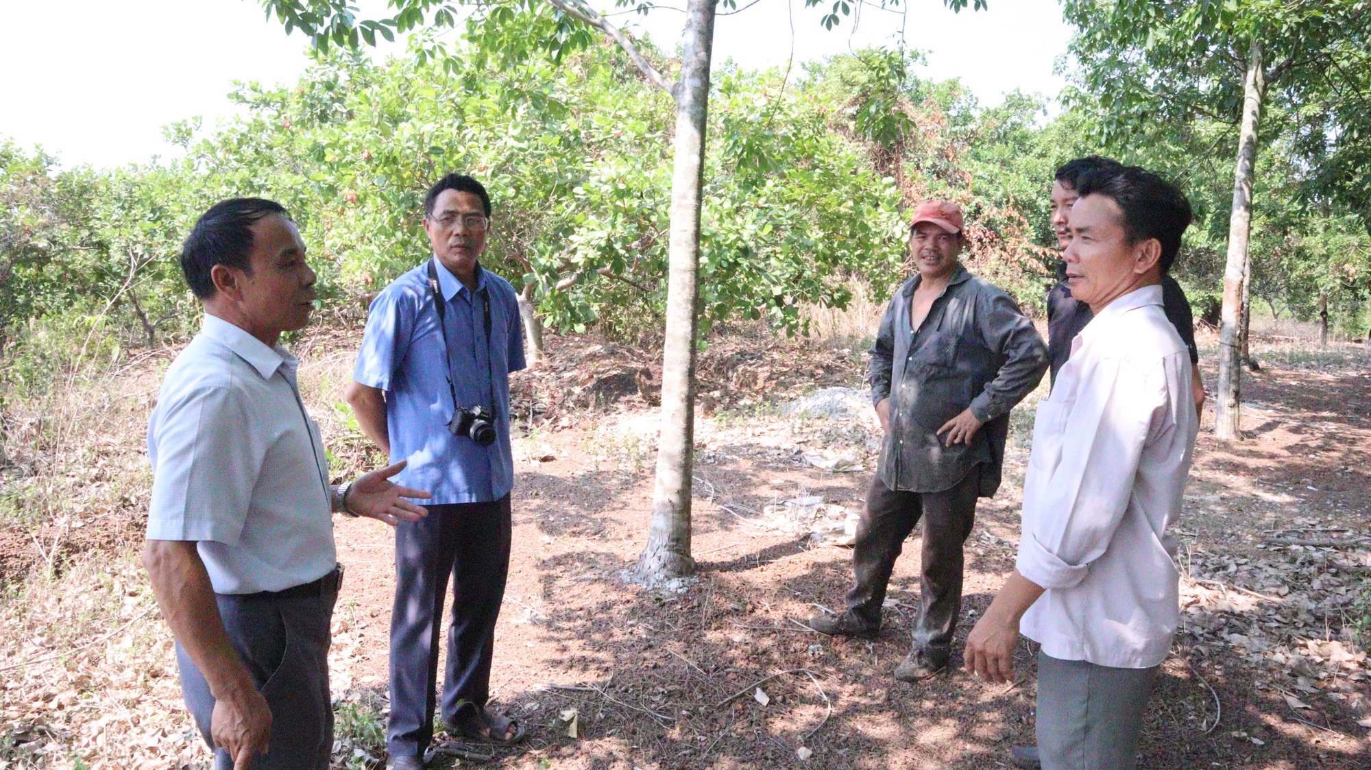 Bình Phước: Nông dân hiến đất tiền tỷ cho nhà nước làm đường quy hoạch - Ảnh 4.