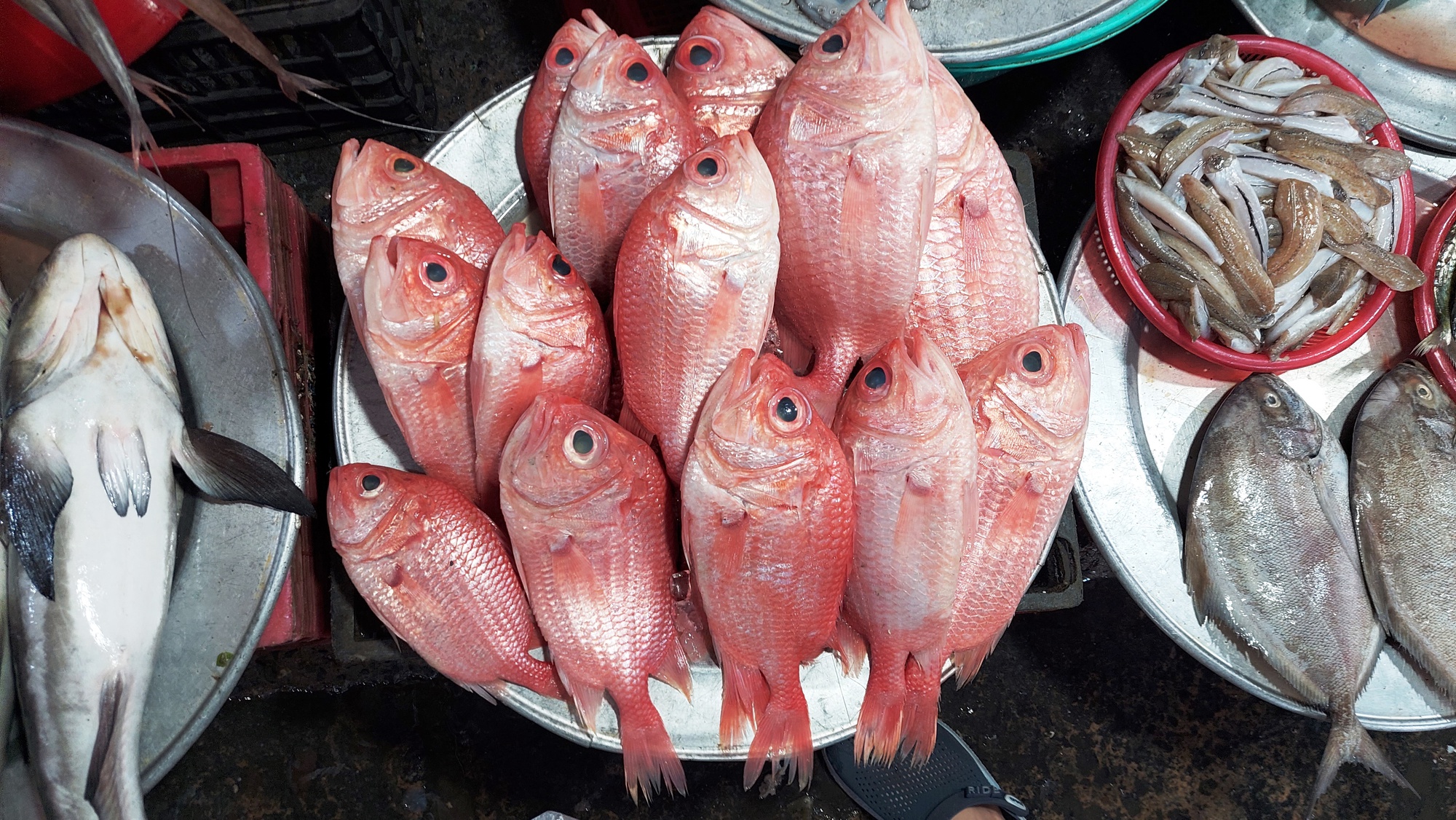 Lạc vào chợ Chiều chuyên bán hải sản lớn nhất Đà thành - Ảnh 10.