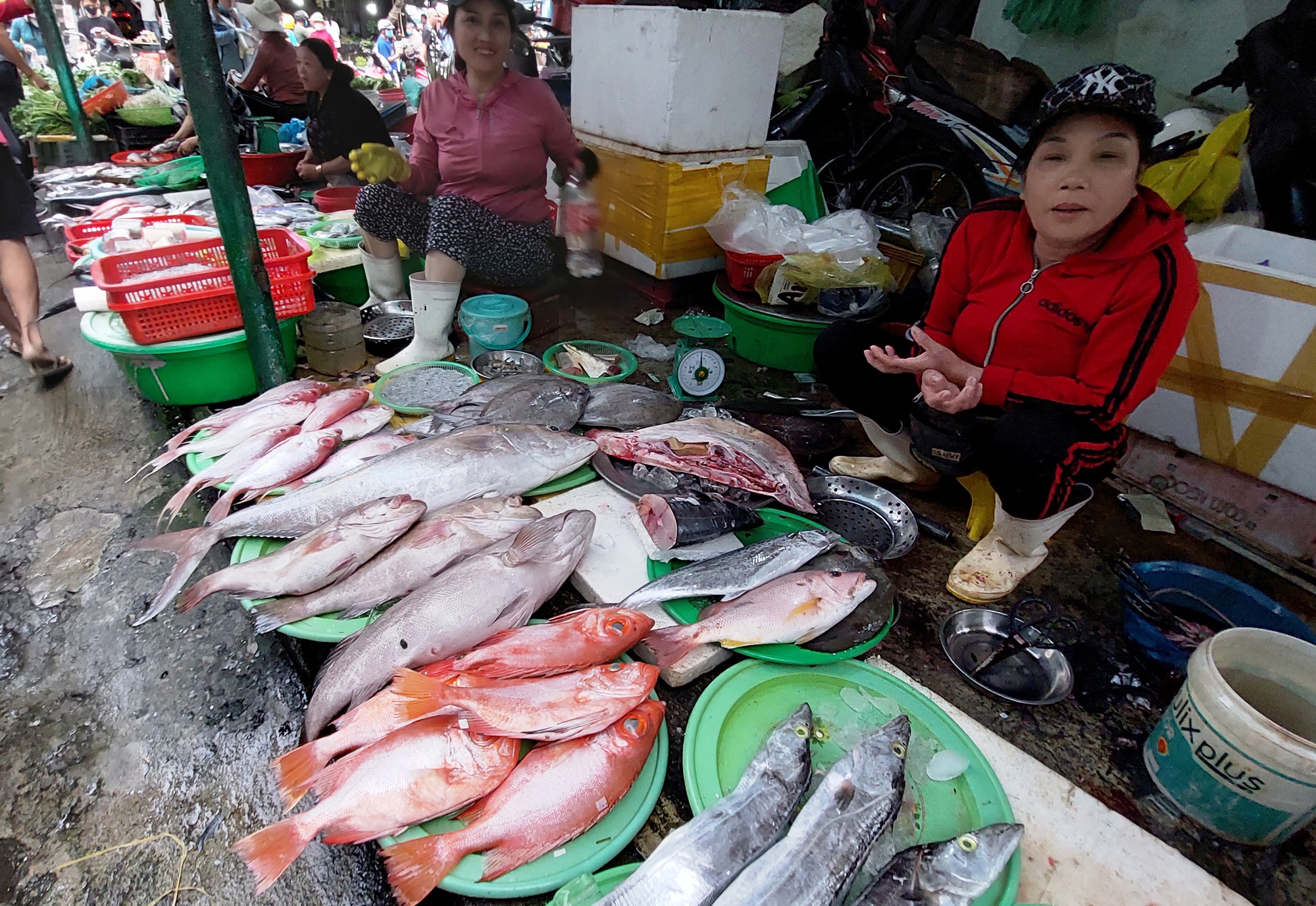 Lạc vào chợ Chiều chuyên bán hải sản lớn nhất Đà thành - Ảnh 4.