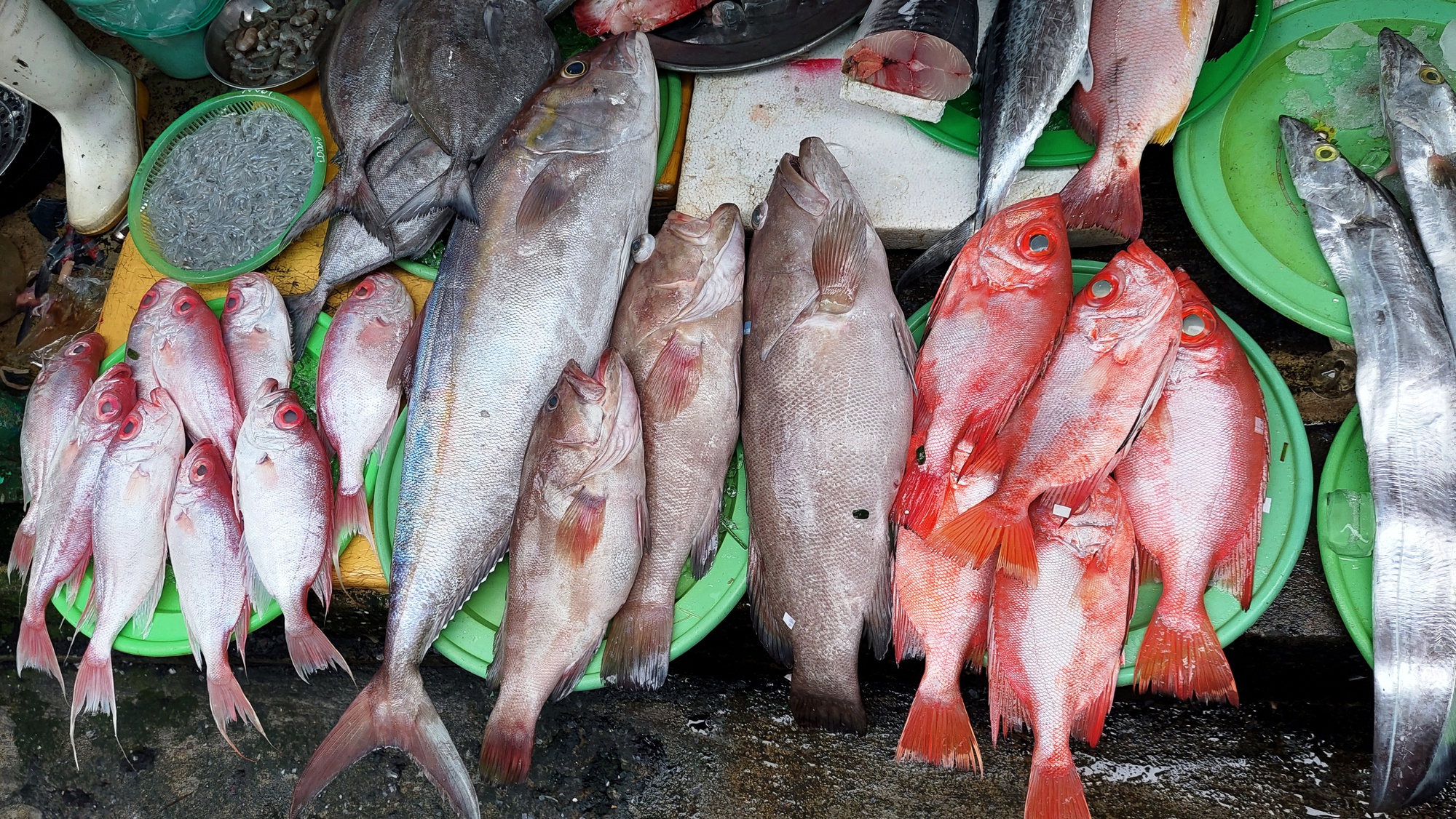 Lạc vào chợ Chiều chuyên bán hải sản lớn nhất Đà thành - Ảnh 13.