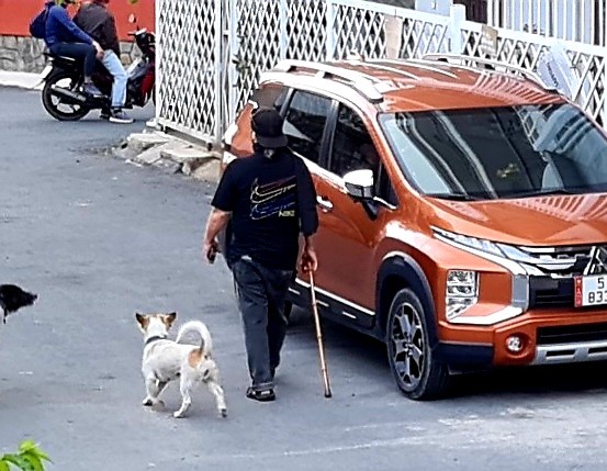 Đà Lạt: Không được thả rông chó, mèo nơi công cộng  - Ảnh 1.