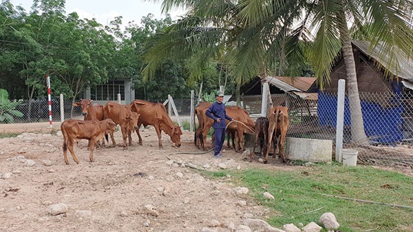 Huy động tiền gửi tiết kiệm, trao 'cần câu' cho hộ nghèo - Ảnh 1.