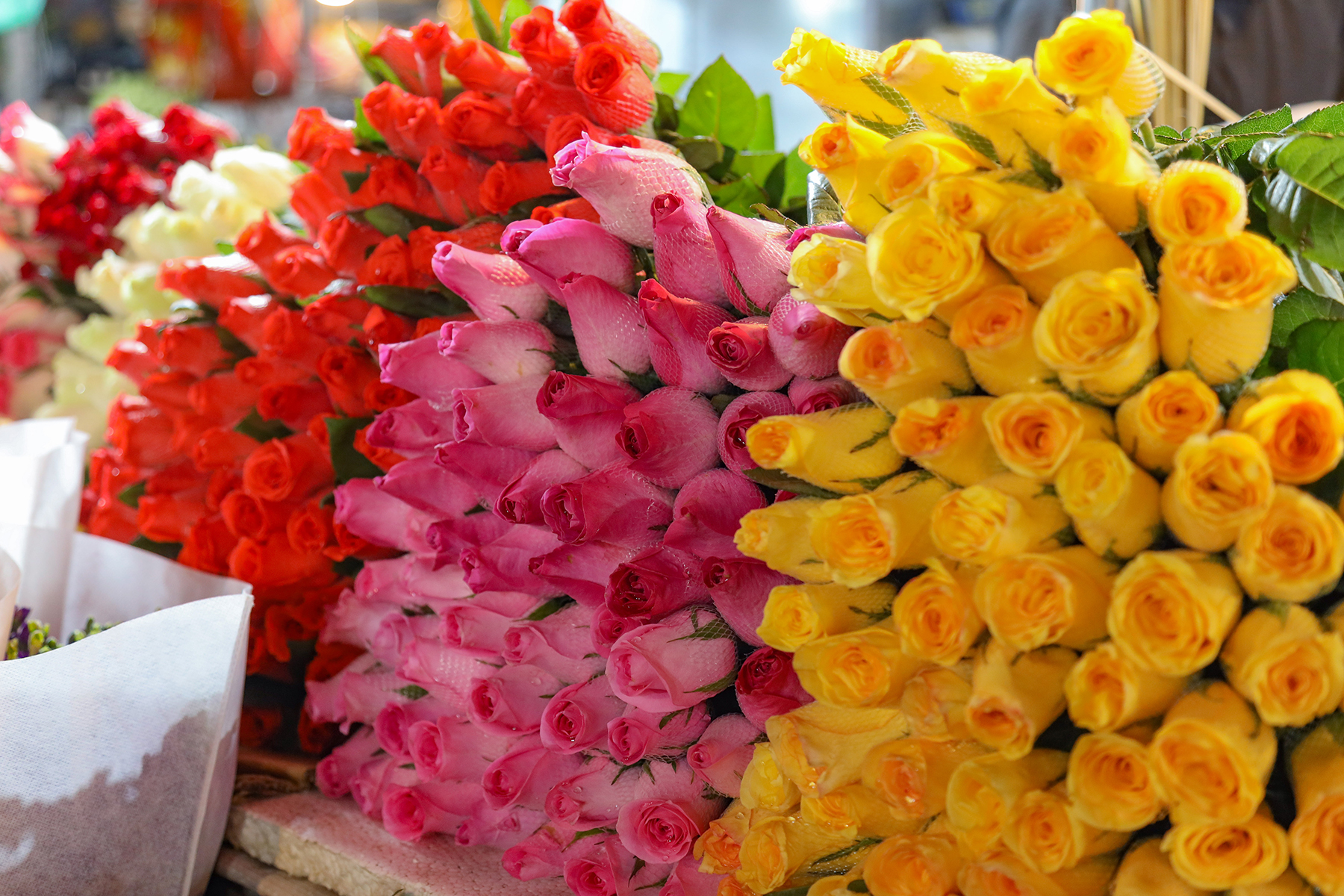 Hoa hồng tăng gấp 3 lần, chợ hoa lớn nhất Hà Nội đông nghịt người trước 8.3 - Ảnh 2.