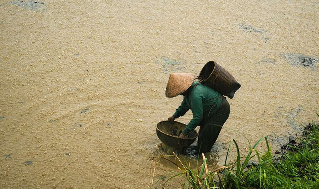 Ngày 8.3 – ngày Quốc tế Phụ nữ - Ảnh 28.