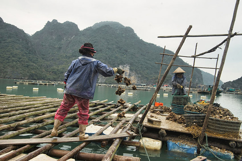 Ngày 8.3 – ngày Quốc tế Phụ nữ - Ảnh 32.