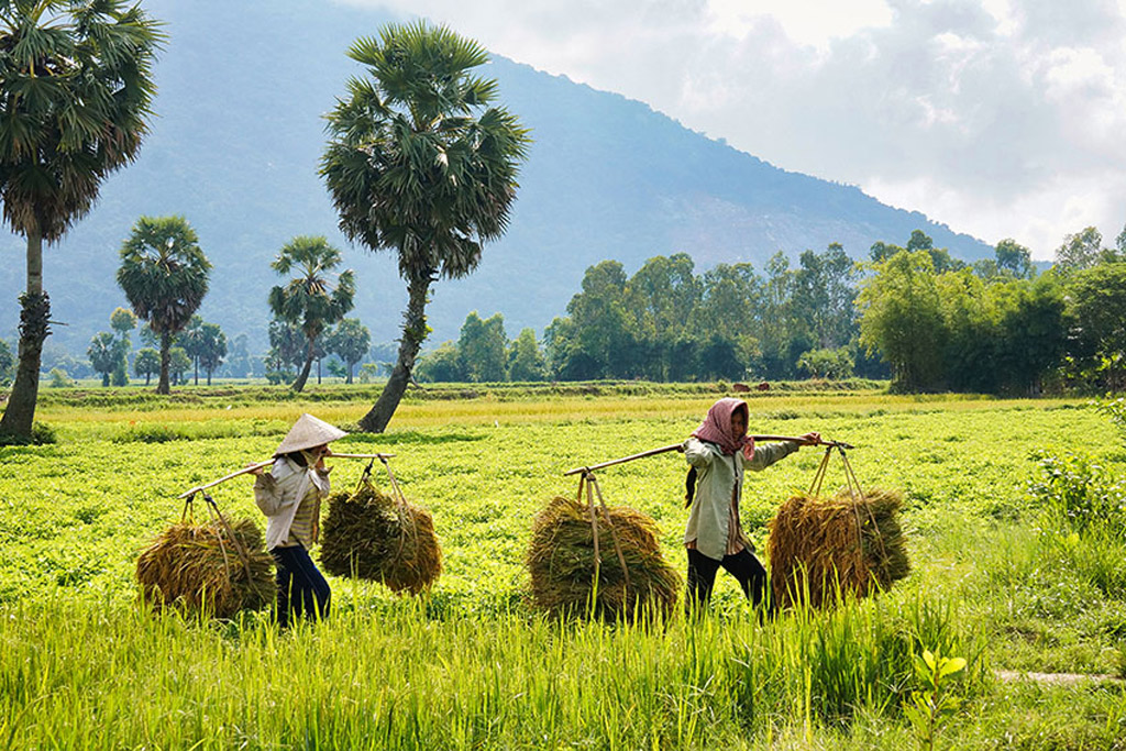 Ngày 8.3 – ngày Quốc tế Phụ nữ - Ảnh 12.