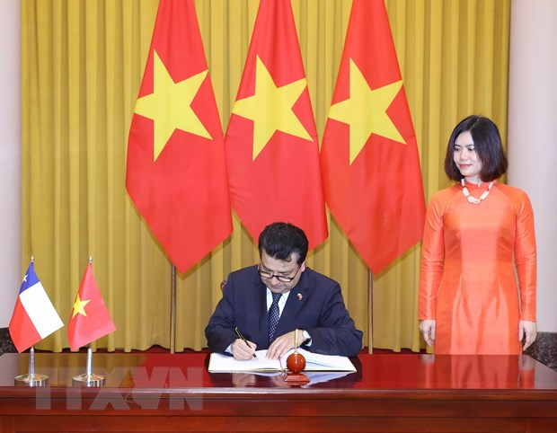 Việt Nam tăng cường hợp tác với UAE, Sri Lanka và Chile - Ảnh 3.