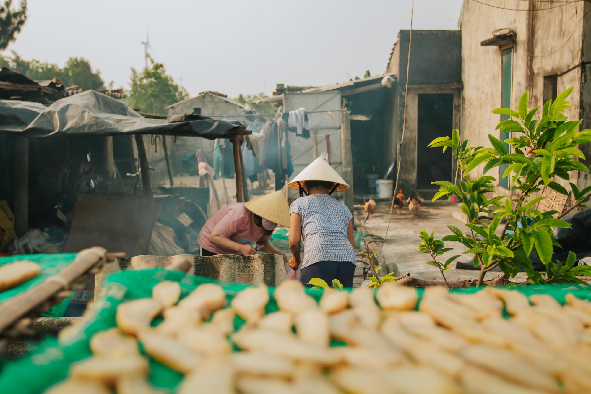 Về thủ phủ khoai deo khám phá cách làm món ăn đặc sản Quảng Bình - Ảnh 6.