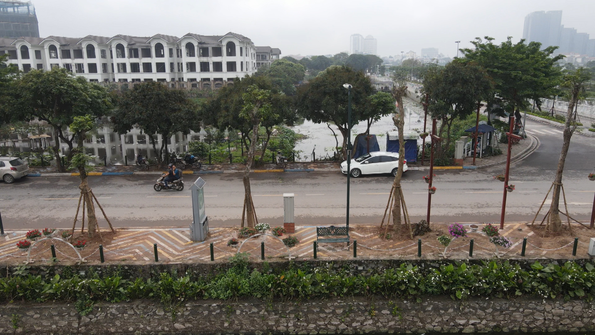 Cận cảnh những cây giáng hương thay thế hàng nhãn ở phố đi bộ Trịnh Công Sơn - Ảnh 3.