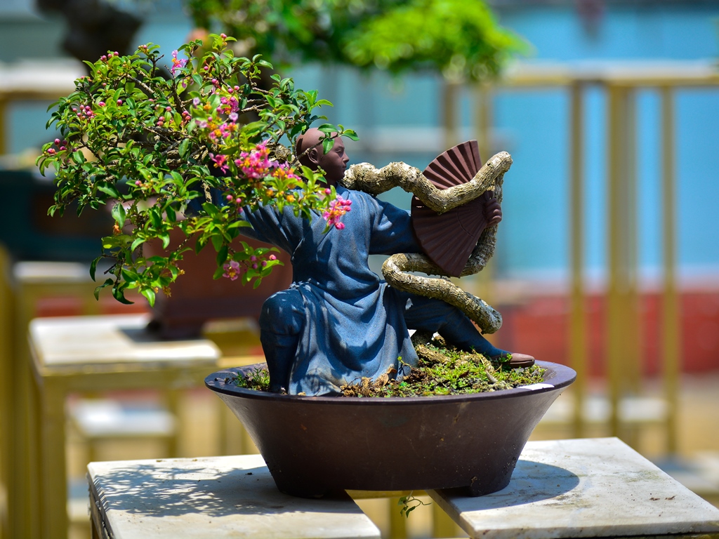 Chiêm ngưỡng hàng trăm cây bonsai &quot;độc lạ&quot; dưới chân cầu Sông Hàn - Ảnh 10.