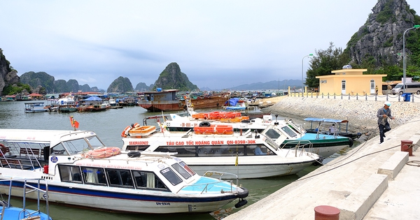 Quảng Ninh: Tàu cao tốc ra đảo Quan Lạn đồng loạt dừng hoạt động  - Ảnh 2.