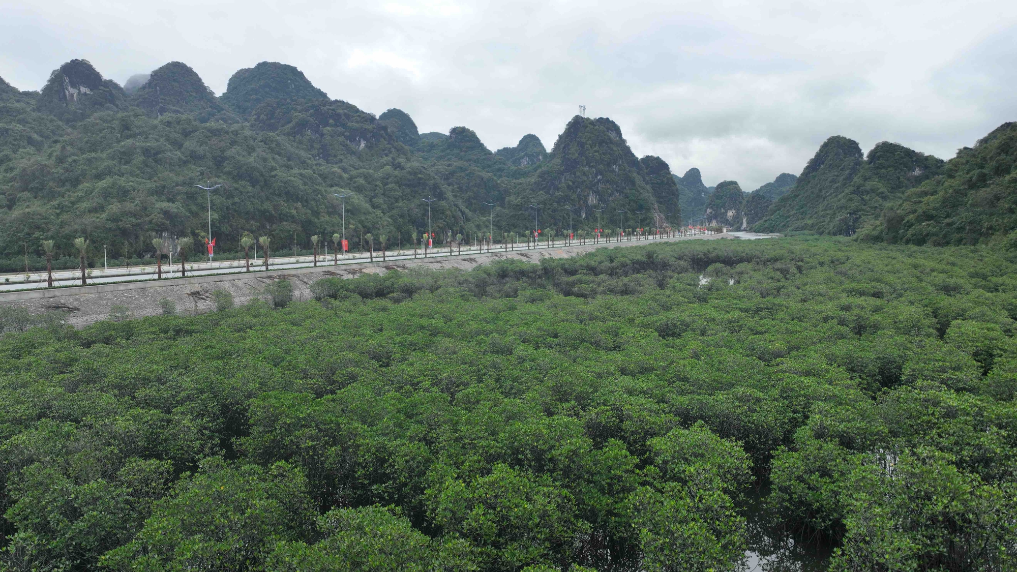 Quảng Ninh lần 2 khánh thành đường bao biển Hạ Long - Cẩm Phả  - Ảnh 4.