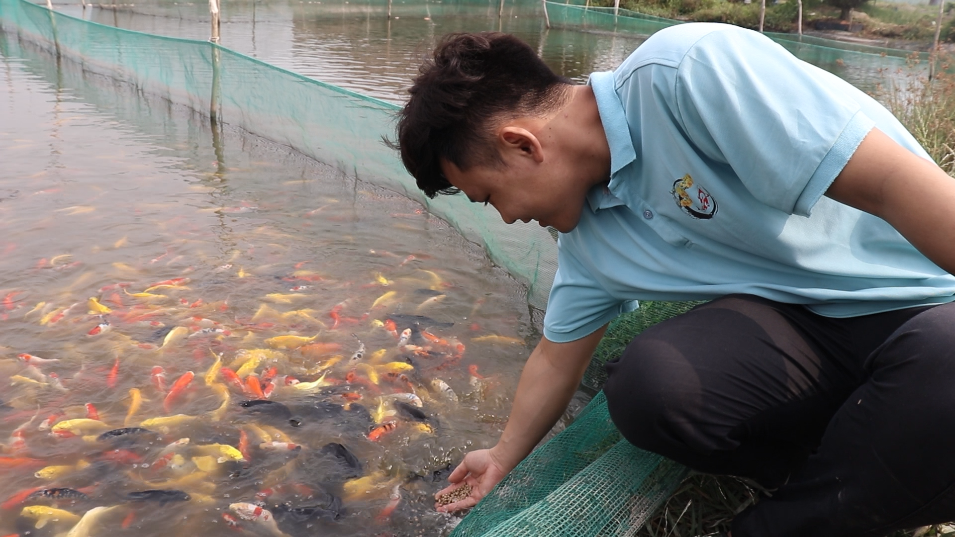 Chàng trai sở hữu trang trại ‘cá quý tộc’ 9 ha, lãi tiền tỉ mỗi năm - Ảnh 1.