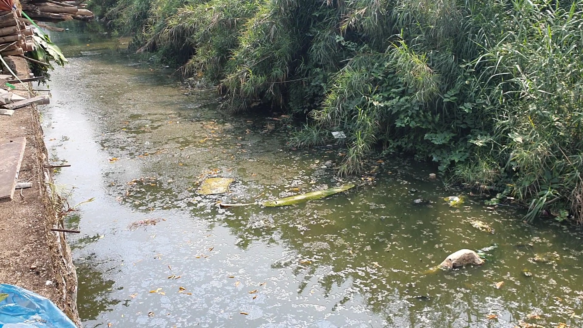 Quảng Bình: Nước sông ô nhiễm bốc mùi, nhiều người dân cầu cứu - Ảnh 5.