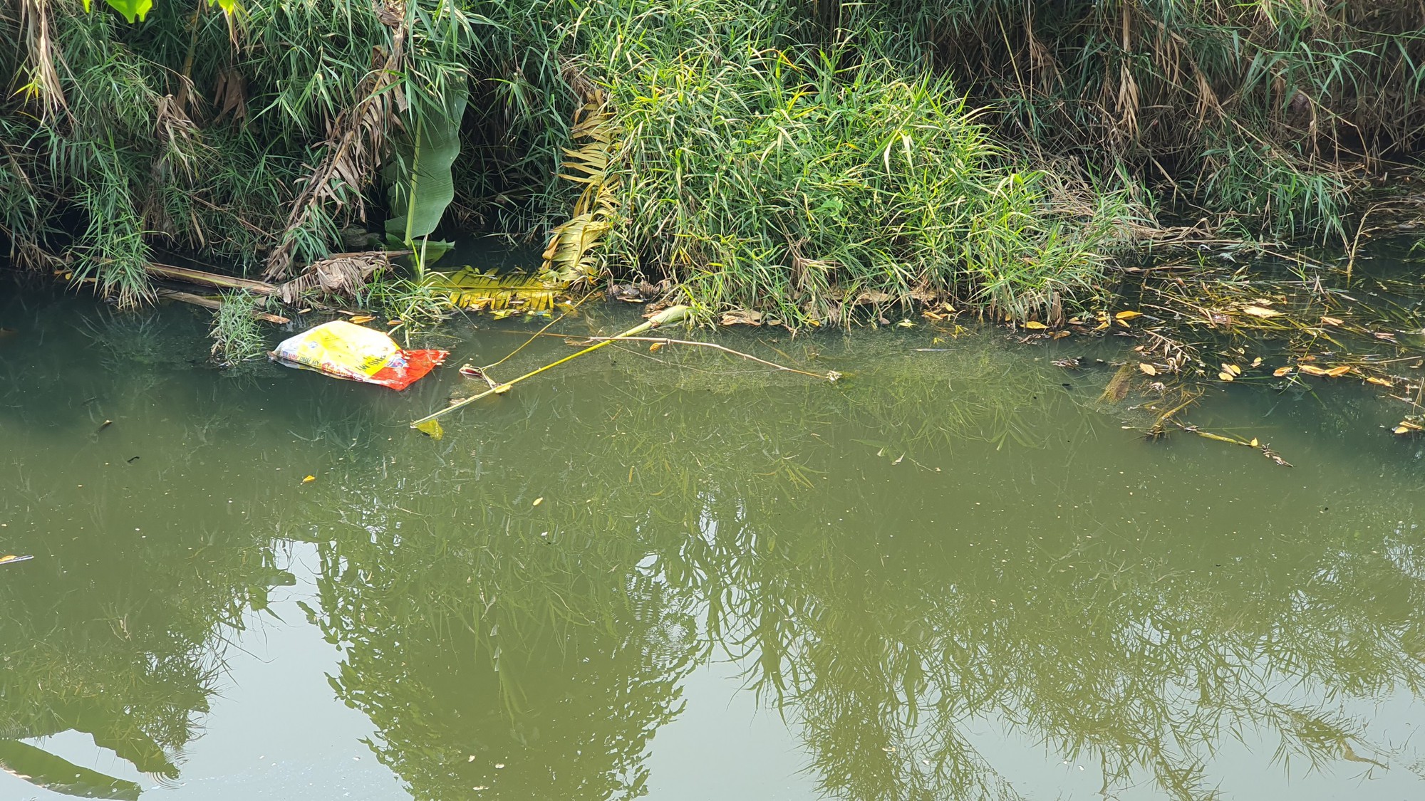 Quảng Bình: Nước sông ô nhiễm bốc mùi, nhiều người dân cầu cứu - Ảnh 4.