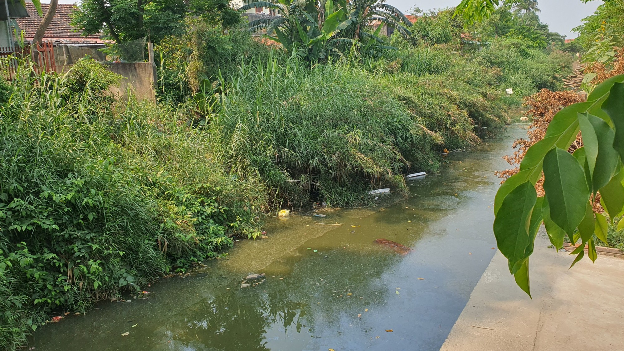Quảng Bình: Nước sông ô nhiễm bốc mùi, nhiều người dân cầu cứu - Ảnh 1.