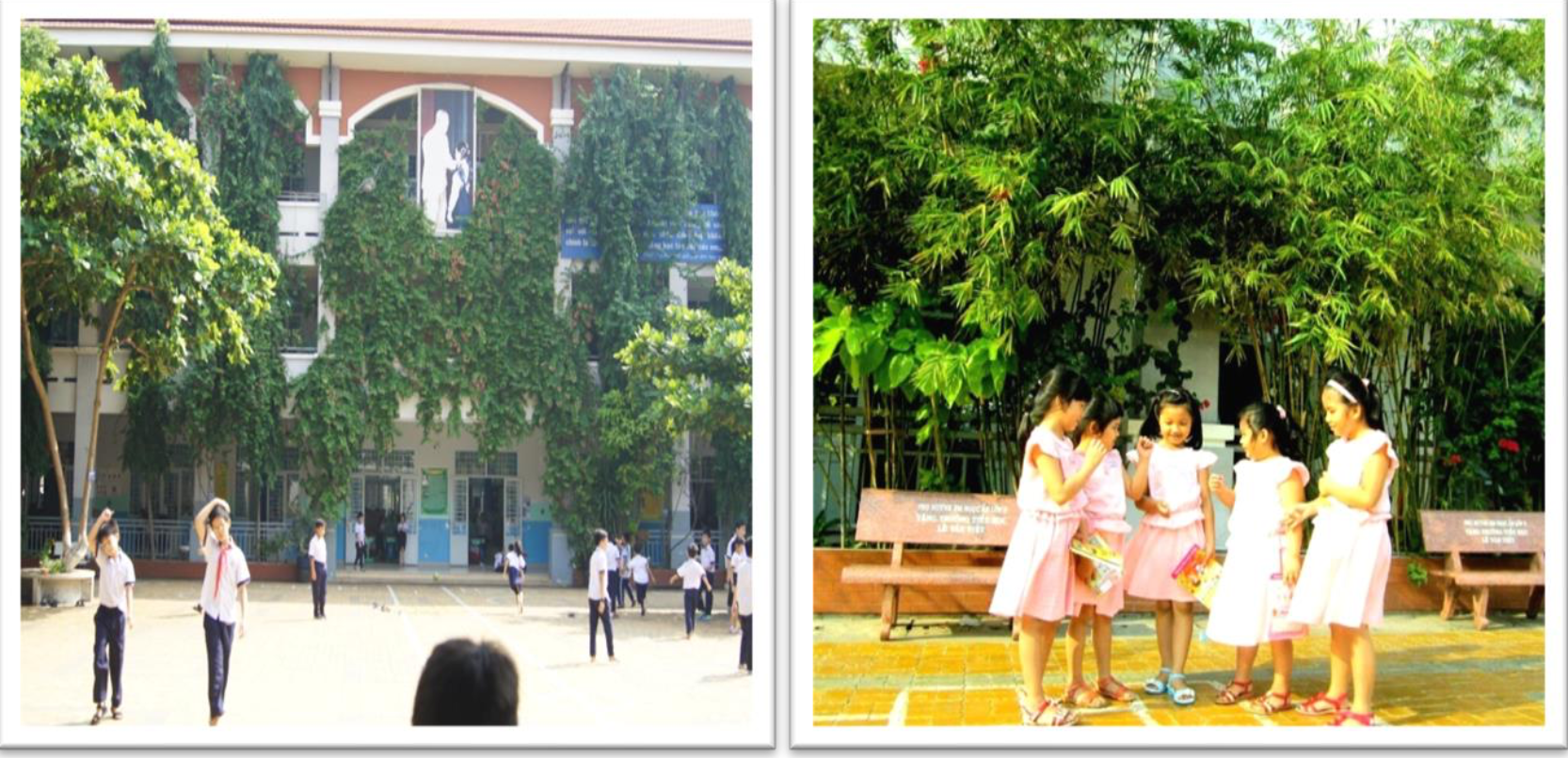 Những trường học ngát cây xanh ở TP.HCM - Ảnh 10.
