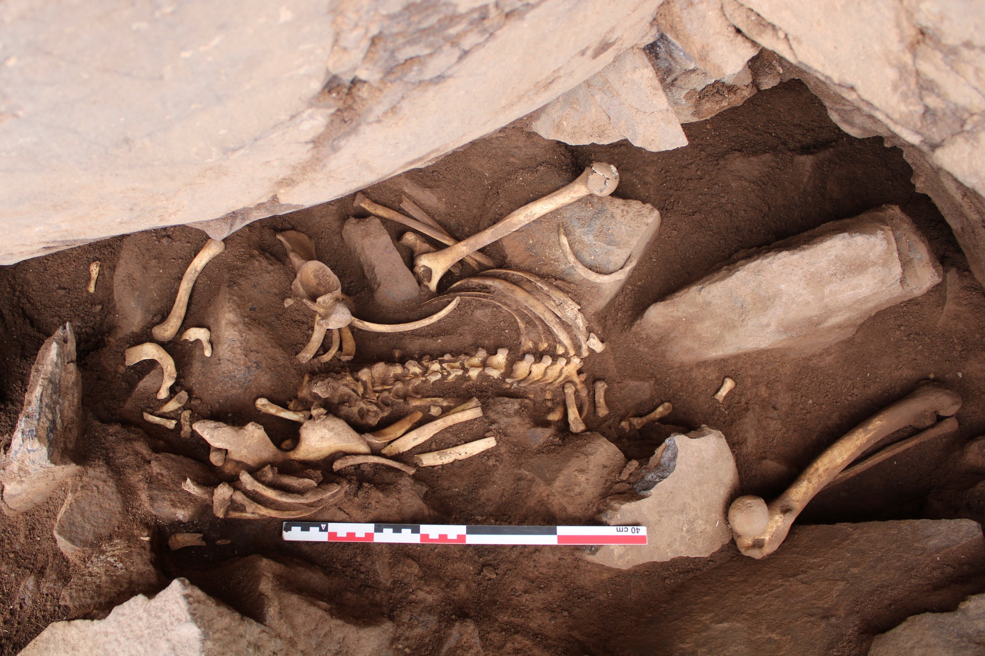 Tây Ban Nha tìm hiểu bí ẩn đằng sau 6 bộ xương ở hang động  - Ảnh 1.