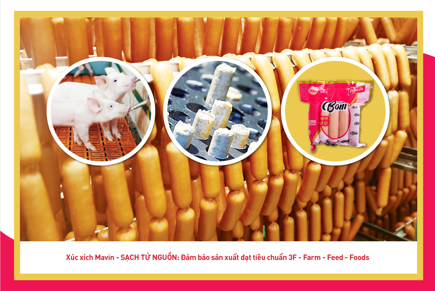 អាថ៌កំបាំងក្នុងការជ្រើសរើសសាច់ក្រកឆ្ងាញ់ៗ ដើម្បីផ្លាស់ប្តូររសជាតិសម្រាប់គ្រួសារទាំងមូល - រូបថត ១. Bí quyết chọn xúc xích ngon đổi vị cho cả gia đình - Ảnh 1.