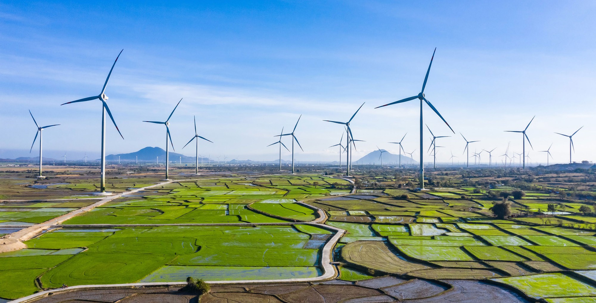 Top 3 công ty sản xuất điện gió nhiều nhất ở Việt Nam hiện nay là