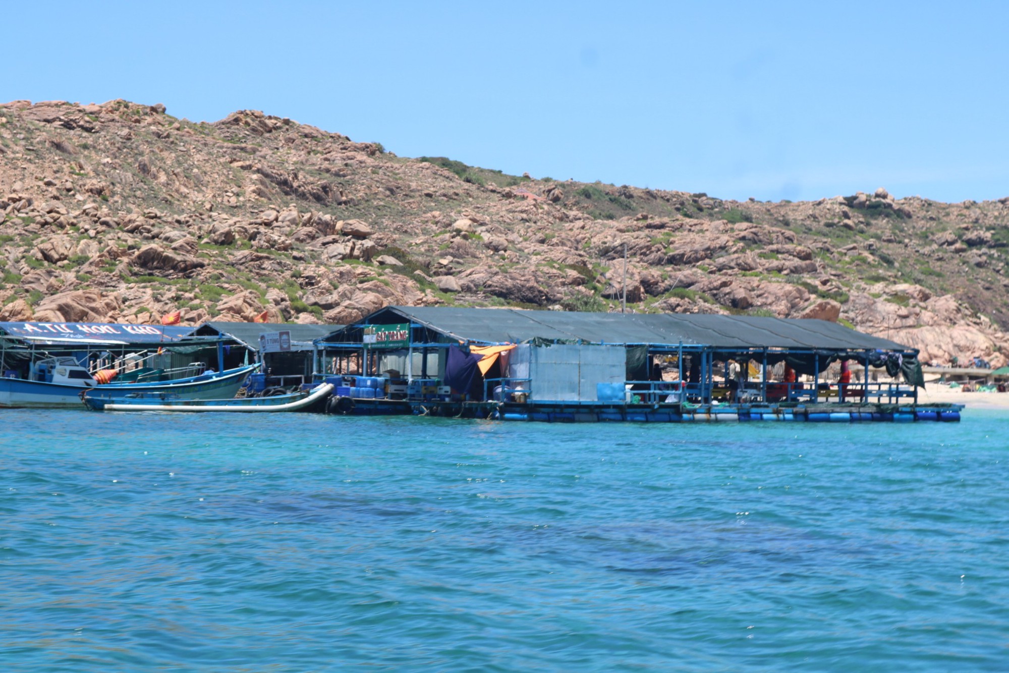 Bè nổi ở Quy Nhơn