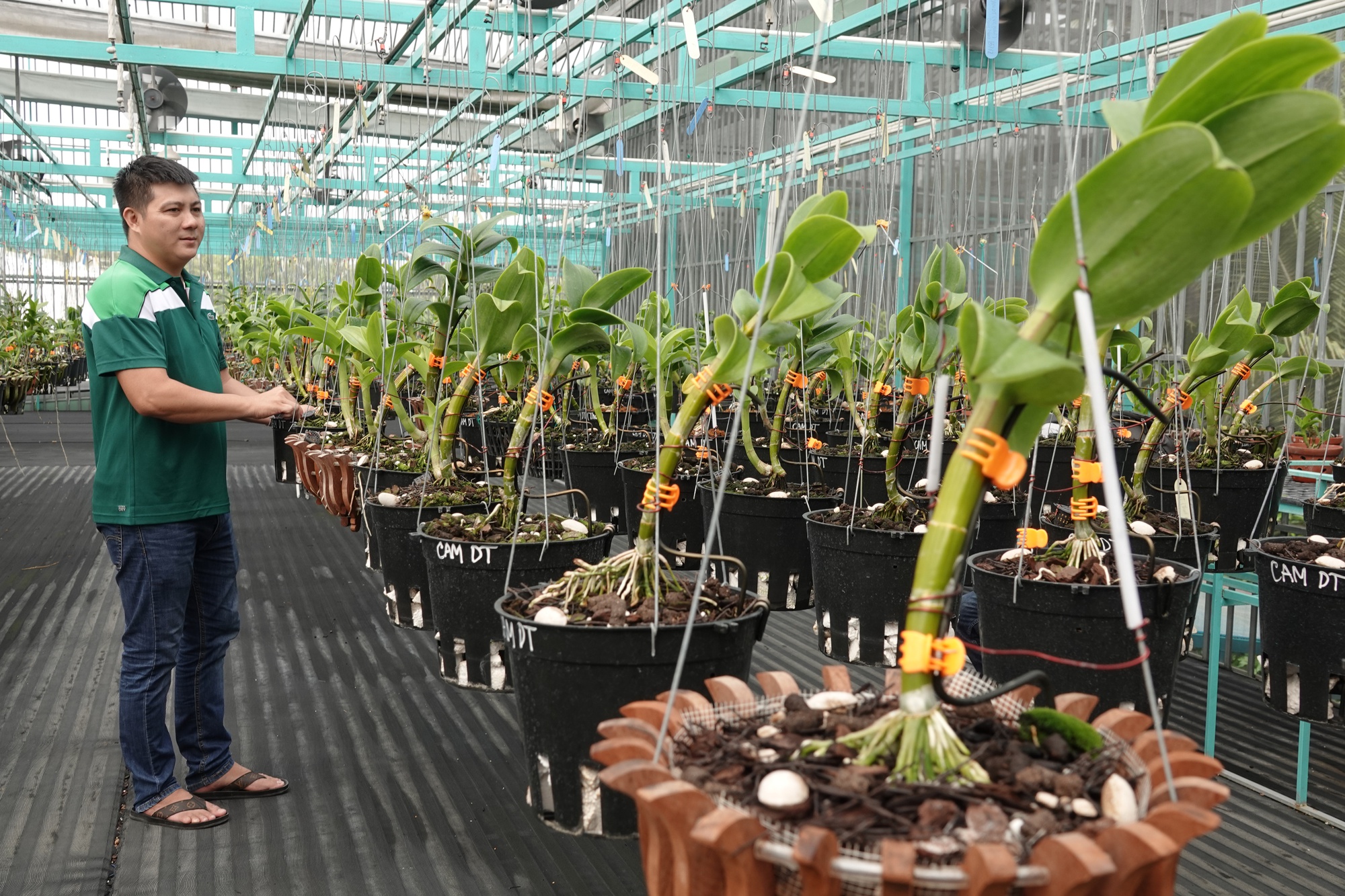 Cập nhật với hơn 59 về mô hình vườn trồng lan mới nhất  Tin học Đông Hòa