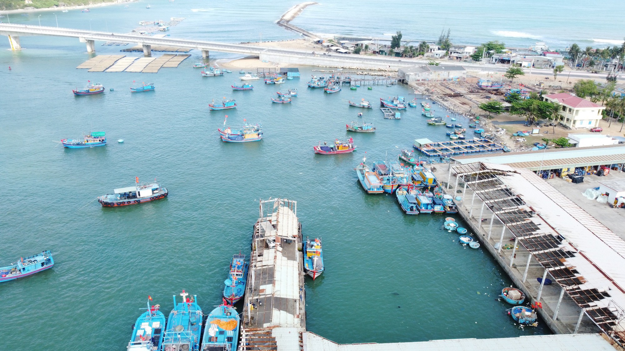 Bình Định: Cận cảnh cảng cá bị xuống cấp nghiêm trọng, gây nguy hiểm cho người dân - Ảnh 3.