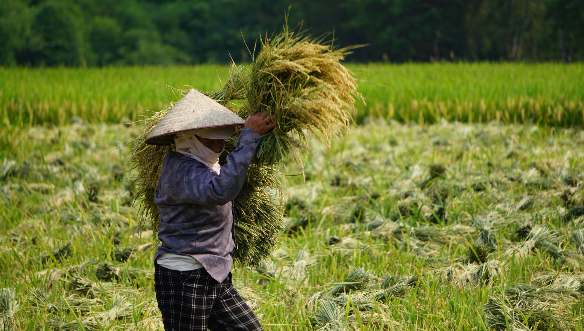 Quay quắt ở 'rốn nóng' Thanh Hóa - Ảnh 6.