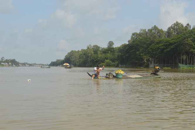 Mực nước lũ miền Tây thấp hơn bình thường trên 1m - Ảnh 1. Mực nước lũ miền Tây thấp hơn bình thường trên 1m - Ảnh 1.