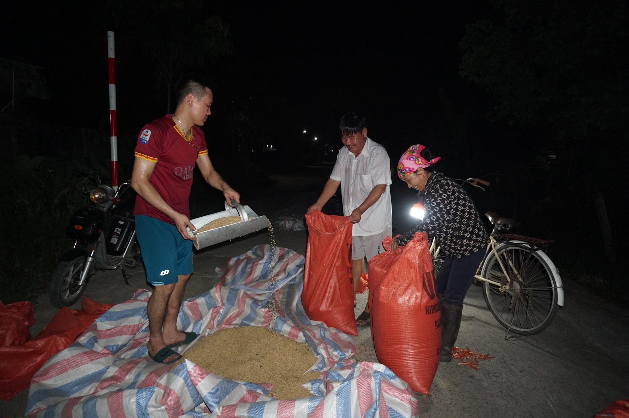 Nông dân ra đồng gặt lúa ban đêm để trốn nắng nóng - Ảnh 12.