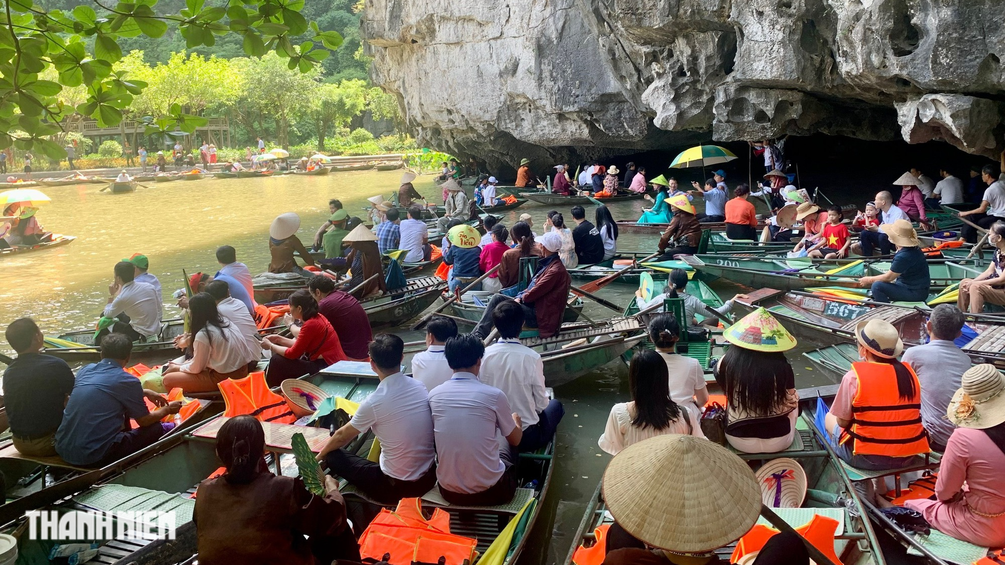 Chiêm ngưỡng cánh đồng lúa chín hình 'Cá chép chơi trăng' - Ảnh 2.