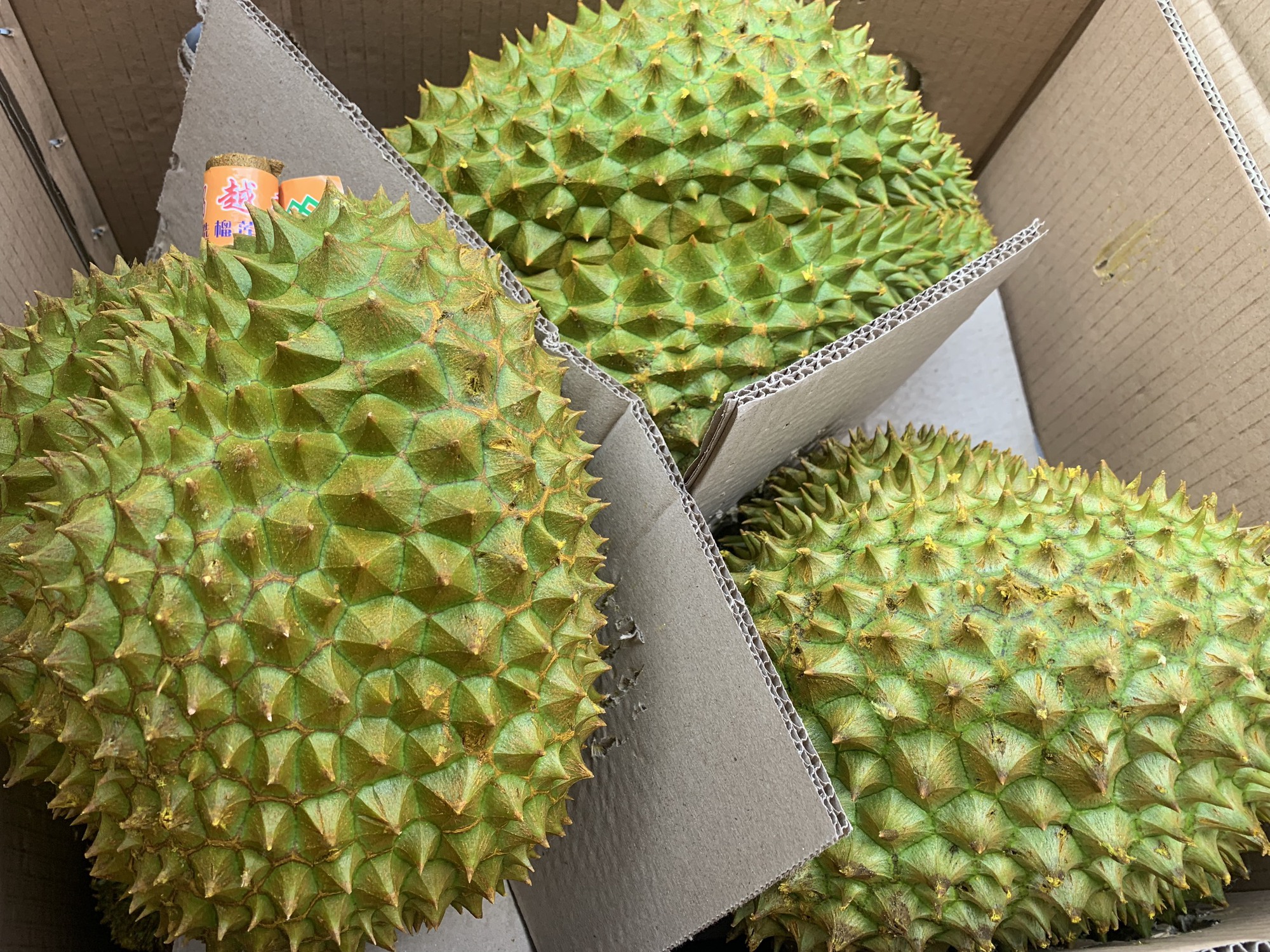 Xe nông sản xuất khẩu Trung Quốc ở Lạng Sơn không còn 'ùn ra QL 1A' - Ảnh 1. Xe nông sản xuất khẩu Trung Quốc ở Lạng Sơn không còn 'ùn ra QL 1A' - Ảnh 1.