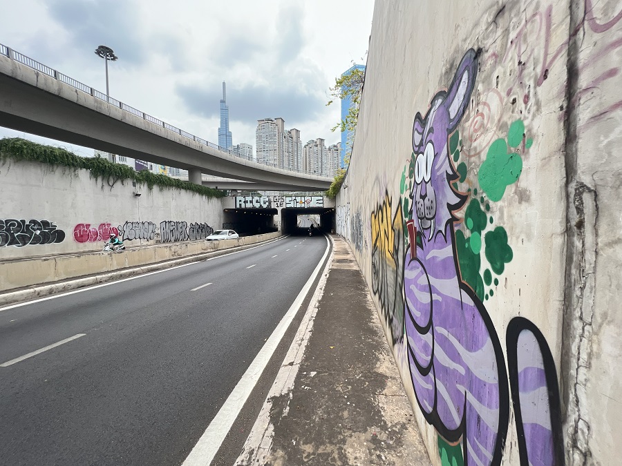 Vẽ bậy đội lốt graffiti: từ nhà dân đến công trình tỉ đô, không tha chỗ nào - Ảnh 2.