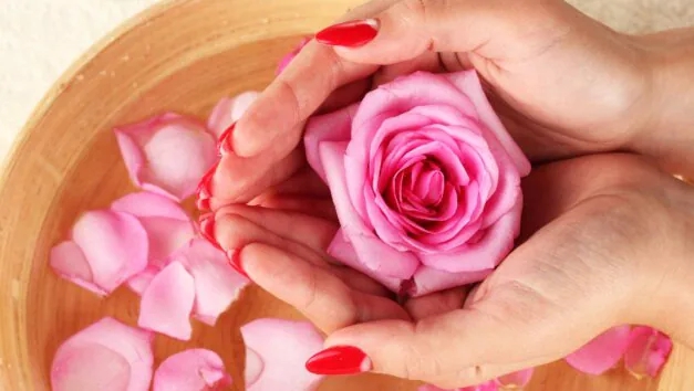Gulab sharbat – giải khát mùa hè bằng nước hoa hồng tươi kiểu Iran  - Ảnh 3.
