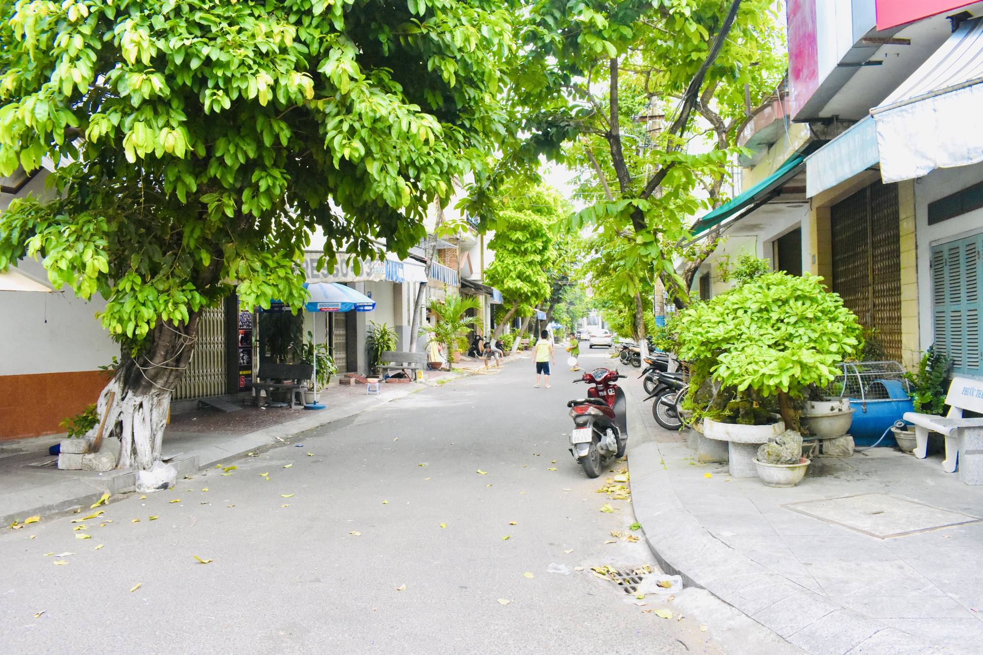 সময়ের ঘ্রাণের প্রেমে চিরকাল কুই নহন - ছবি ১। Quy Nhơn tình mãi với hương thời gian  - Ảnh 1.