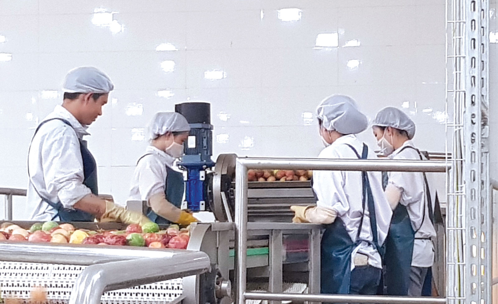 Gia Lai: Dobré signály ohledně komerčních aktivit - Foto 2. Gia Lai: Tín hiệu vui về hoạt động thương mại - Ảnh 2.