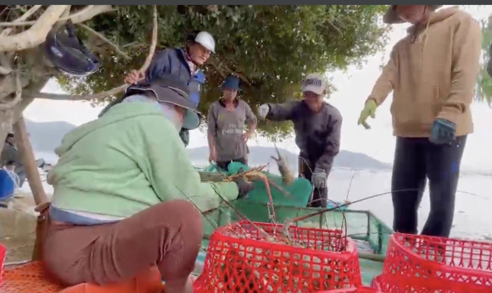 Song Cau ខិតខំកសាងទីក្រុងទេសចរណ៍ និងសេវាកម្មសមុទ្រ - រូបថត ៤. Sông Cầu phấn đấu xây dựng thành phố du lịch, dịch vụ biển - Ảnh 4.