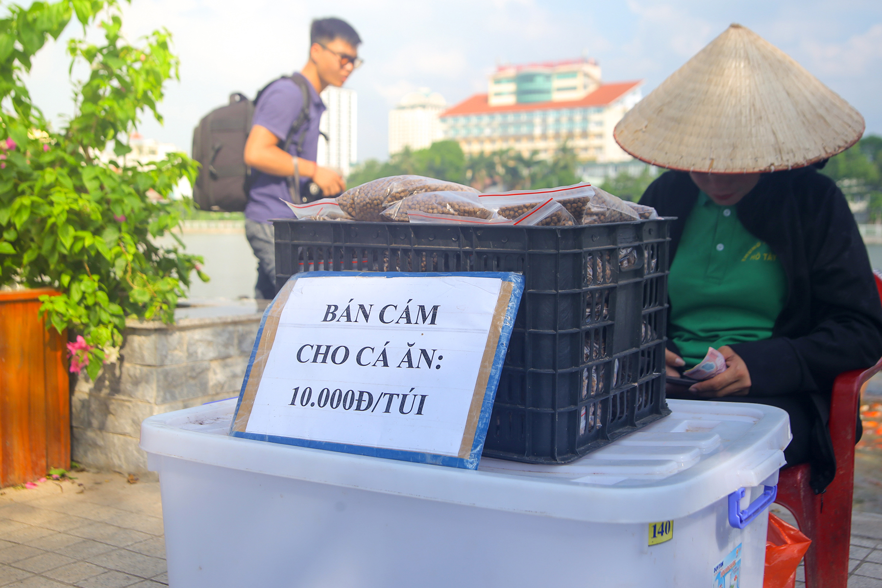 Đổ xô đến xem đàn cá koi 12.000 con, một vài trẻ nhỏ ngã xuống nước - Ảnh 9. Đổ xô đến xem đàn cá koi 12.000 con, một vài trẻ nhỏ ngã xuống nước - Ảnh 9.