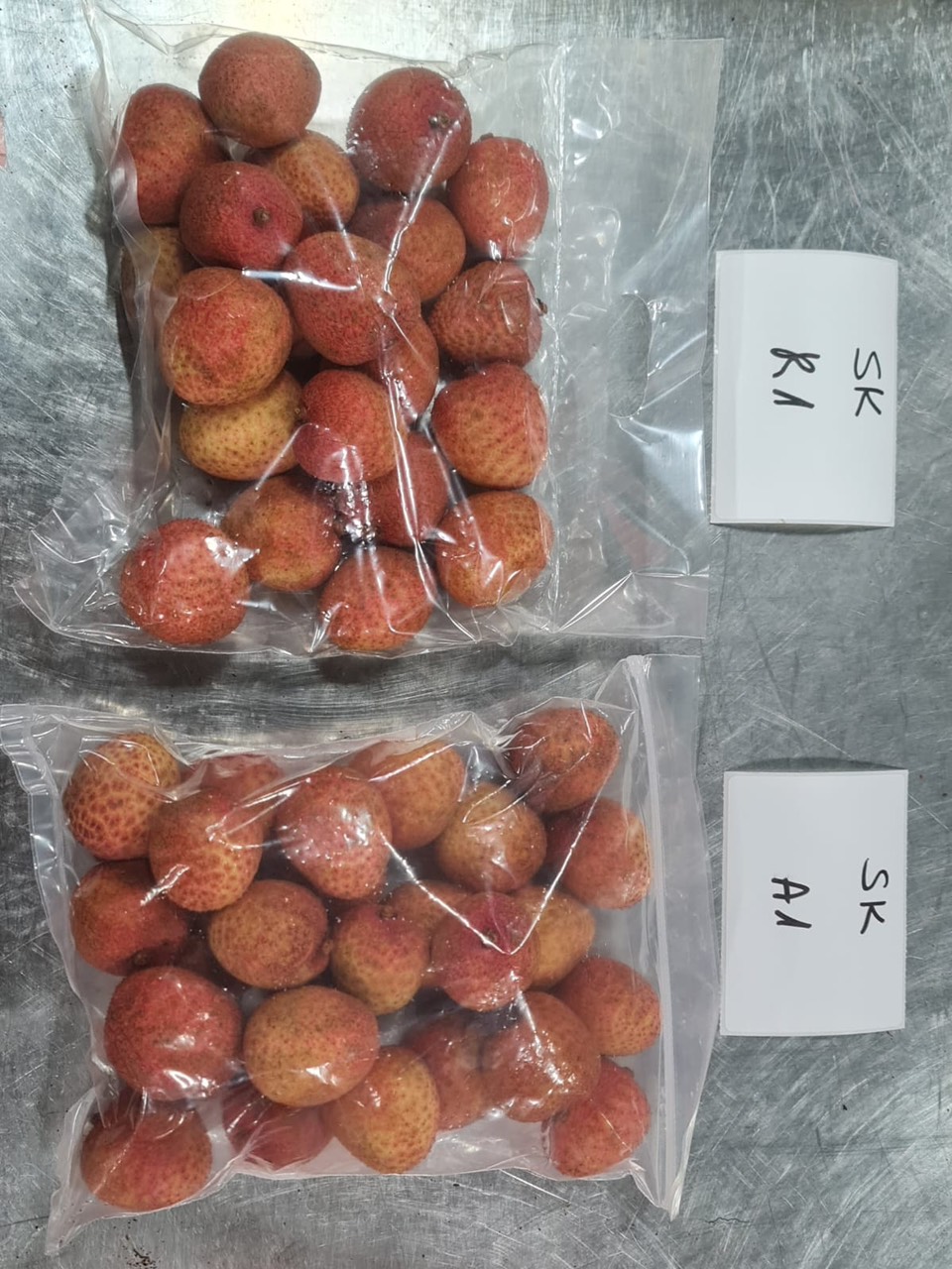 Vải thiều xuất khẩu sang Mỹ, đi tàu biển 25 ngày vẫn tươi ngon - Ảnh 5. Vải thiều xuất khẩu sang Mỹ, đi tàu biển 25 ngày vẫn tươi ngon - Ảnh 5.