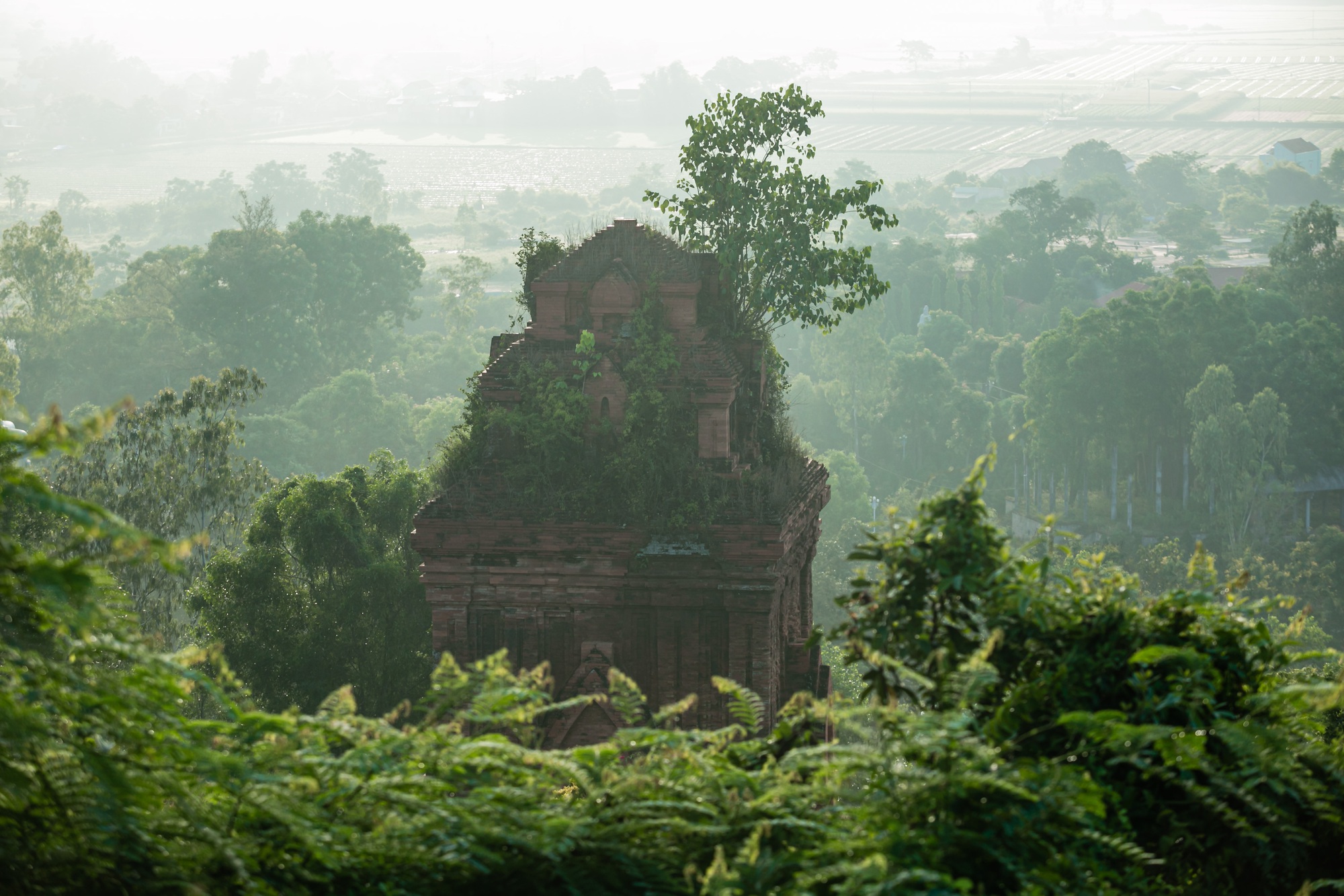 Vẻ đẹp tháp cổ ngàn năm tuổi của người Chăm còn sót lại ở Bình Định - Ảnh 1.