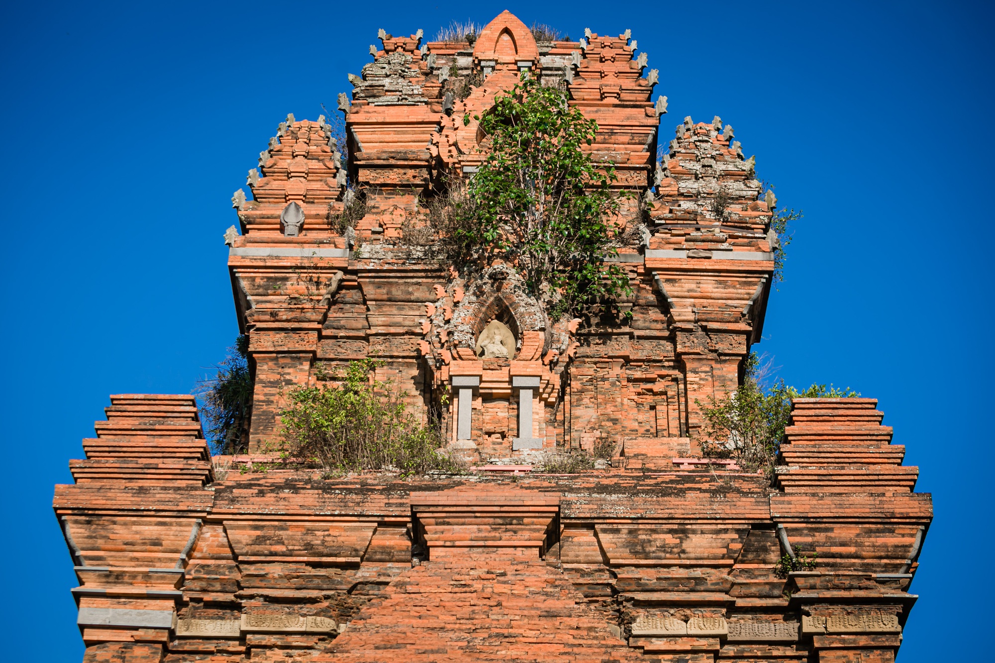 Vẻ đẹp tháp cổ ngàn năm tuổi của người Chăm còn sót lại ở Bình Định - Ảnh 3.