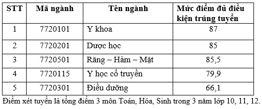 Điểm chuẩn Khoa Y (ĐH Quốc gia TP.HCM): Gần 1.000 điểm mới trúng tuyển ngành y khoa - Ảnh 2.