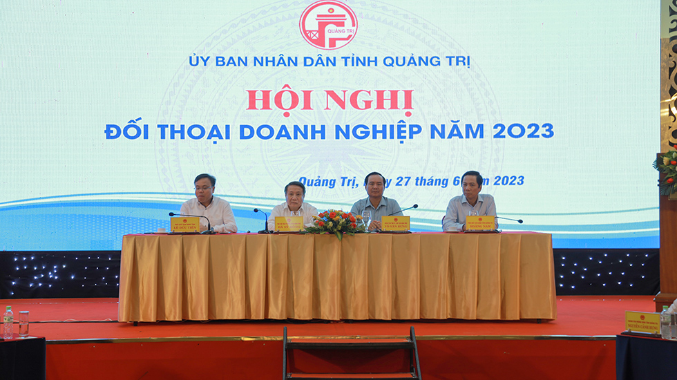 Doanh nghiệp phát triển, tỉnh Quảng Trị phát triển - Ảnh 2.