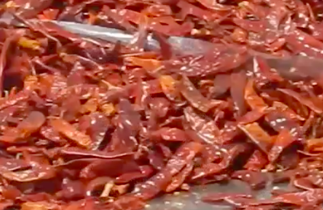 Cục Bảo vệ thực vật bác tin Hàn Quốc cấm nhập khẩu ớt từ Việt Nam - Ảnh 1.