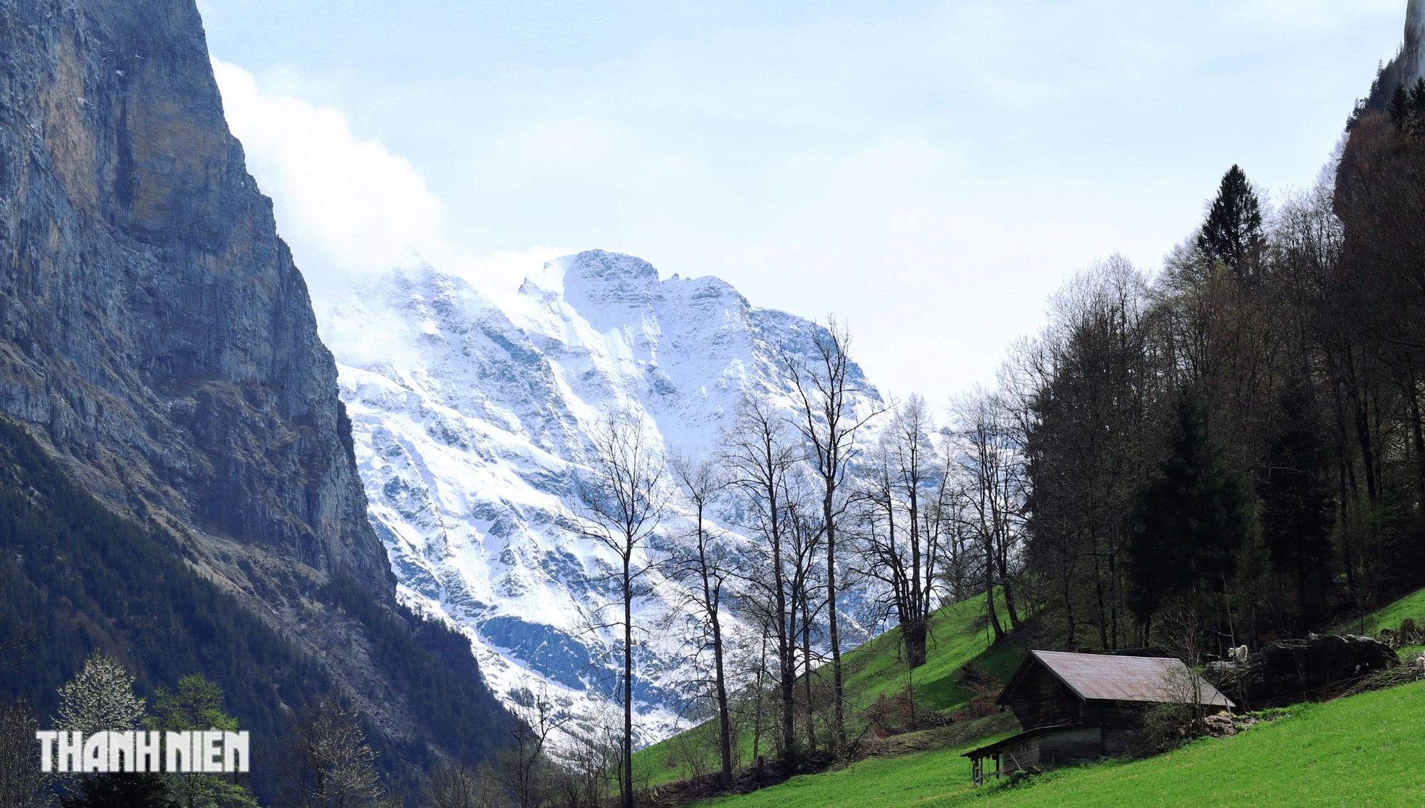 Thụy Sĩ mùa hoa vàng tuyết tan - Ảnh 4.