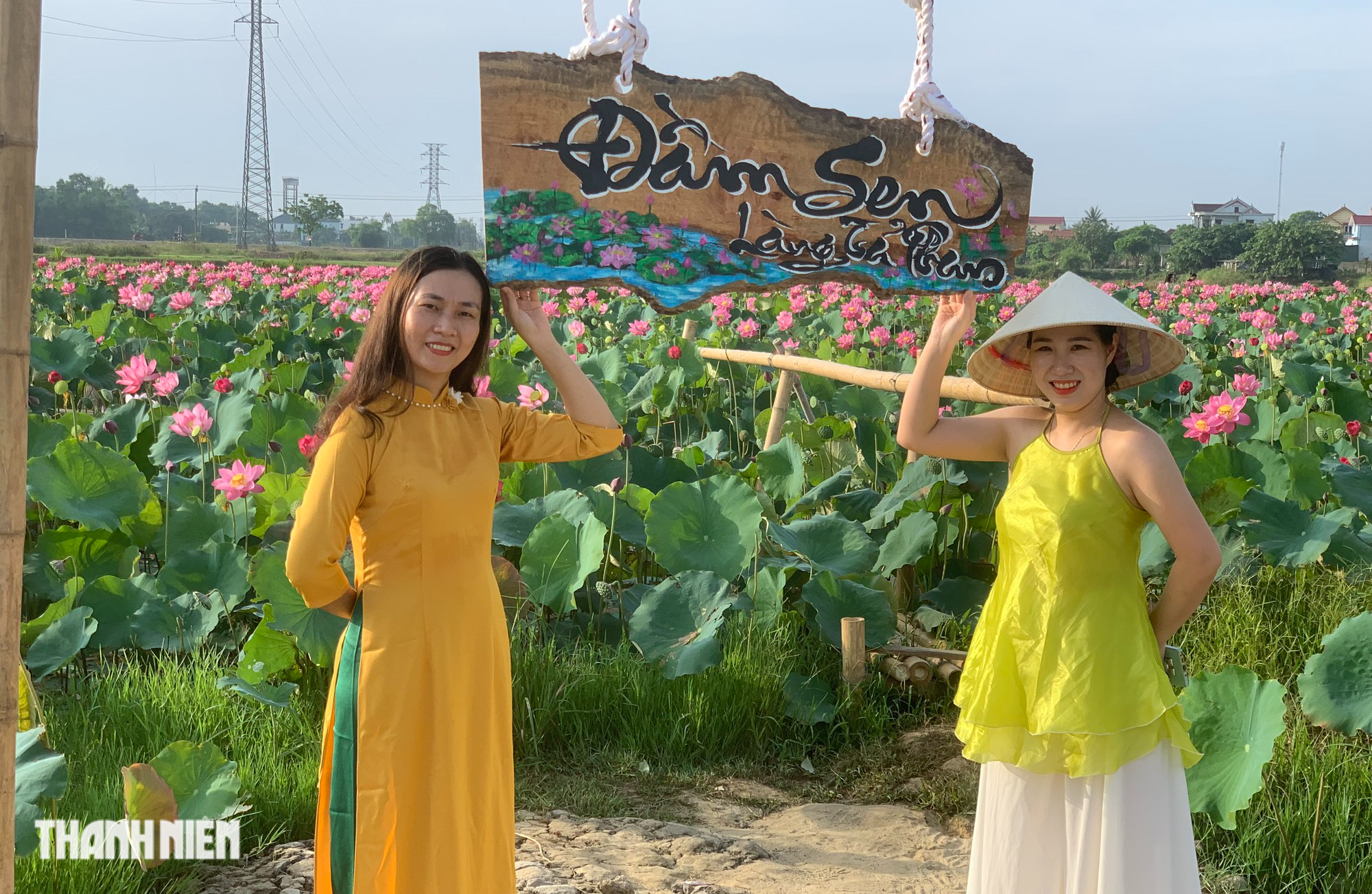Đầm sen ở vùng quê hút khách đến chụp ảnh tại Quảng Bình - Ảnh 2.