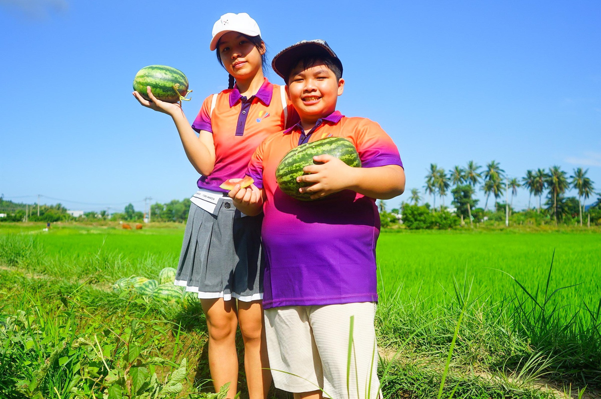 Du khách &quot;bỏ phố về quê&quot; trải nghiệm hái dưa hấu dưới chân núi - Ảnh 3.