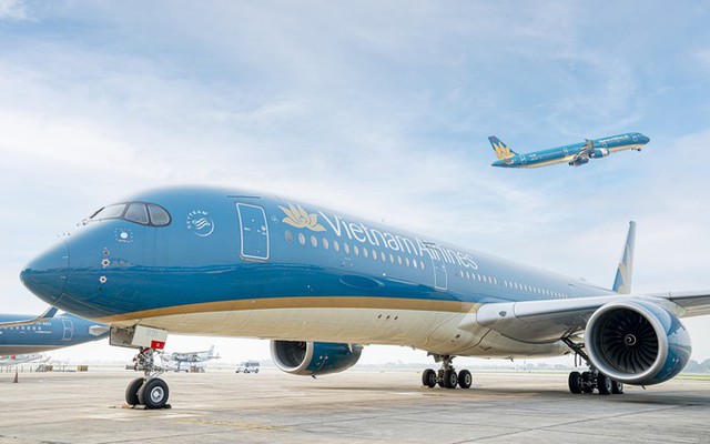 Sa thải nam phi công Vietnam Airlines dương tính với chất cấm - Ảnh 1.